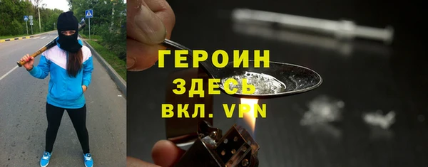 гашик Алексин