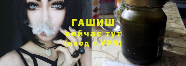 гашик Алексин