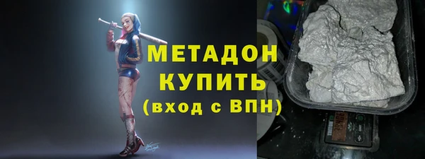 гашик Алексин