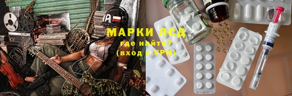 гашик Алексин