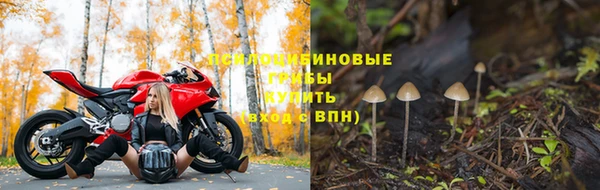 гашик Алексин