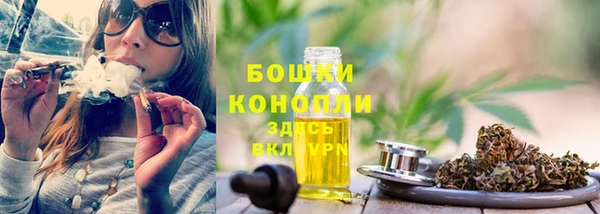 индика Нягань