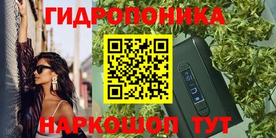 мдпв Партизанск
