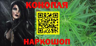 мдпв Партизанск