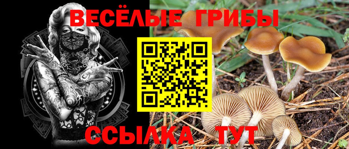 Туймазы  Галлюциногенные грибы Psilocybine cubensis  Вход с VPN 