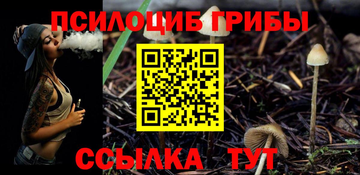 Псилоцибиновые грибы Cubensis Туймазы